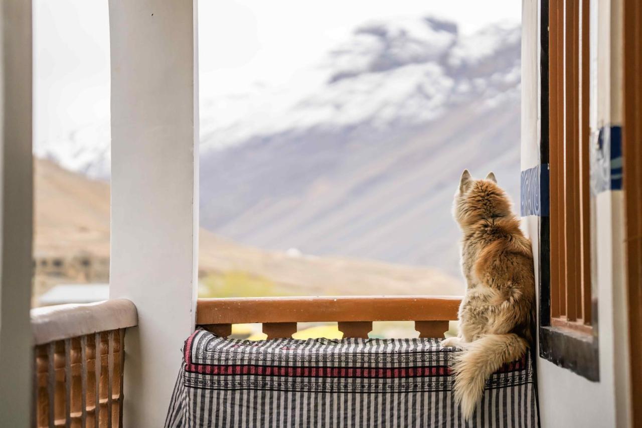 Zostel Spiti Vandrarhem Kaza Exteriör bild